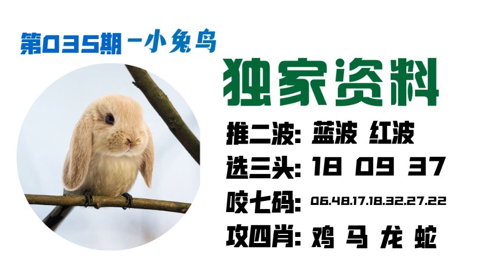 035期小兔鸟[图]